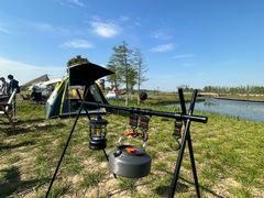 -春花秋色城市公园