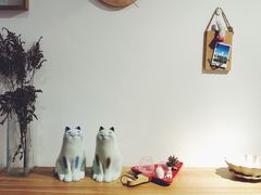 -猫里有甜