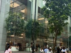 -Apple 零售店(Causeway Bay)