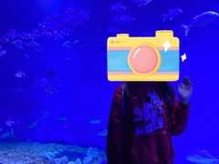 -哈尔滨波塞冬海底世界