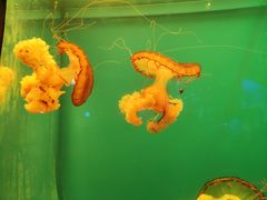 -华夏文旅西安度假区