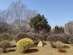 -前关湿地公园