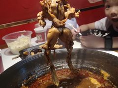 -老天桥蛙炉火锅(姑苏总店)