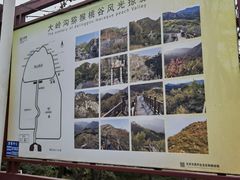 -大岭沟猕猴桃谷风景区