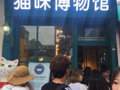 -猫咪博物馆(顶澳仔猫街店)