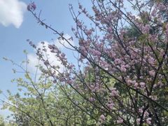 -贵阳市花溪国家城市湿地公园