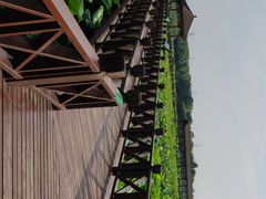 -荷塘月色湿地公园·向阳花洲