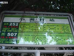 -小洲村