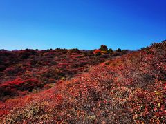 -水峪民俗村