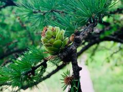 -白草畔自然风景区