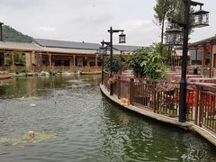 -大门水乡·顺德菜