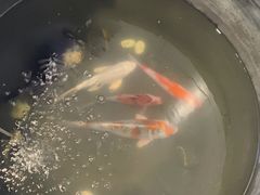 -萌兽医馆·眼科·异宠专科(三里屯店)