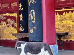 -长春观