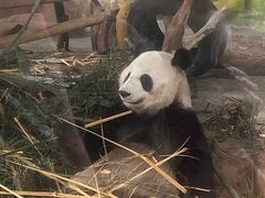 -南宁市动物园