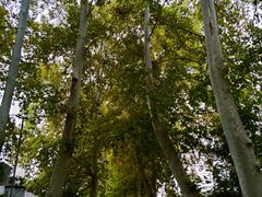 -河南省黄河迎宾馆