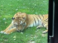 -北京野生动物园