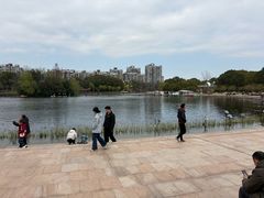 -新江湾城公园
