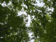 -桤木河湿地公园