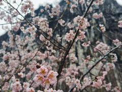 -南溪山景区