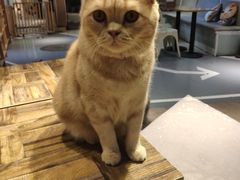 -小时光咖啡馆(开森度假森林店)