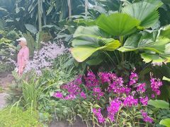 -新加坡植物园