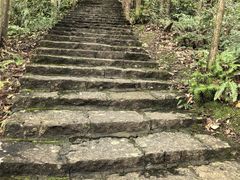 -龙湾潭国家森林公园