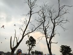 -蜀绣公园