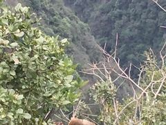 -重庆云阳龙缸景区