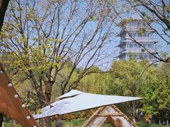 -Supine Bistro溯泮餐厅