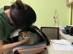 -瑞鹏宠物医院犬猫全科(真大分院)