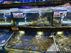 -欢乐海岸美食联盟
