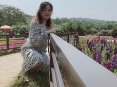 -大塘金香草谷
