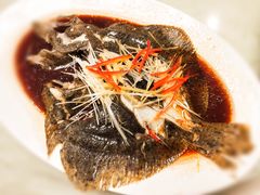 清蒸多宝鱼（斤）-东兴楼饭庄(六里桥店)