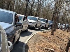 -秦皇岛野生动物园