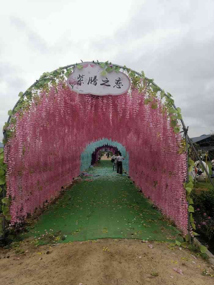 霞浦葛洪山庄"白天去沙江s弯拍晚霞的路上途径,看到好大.