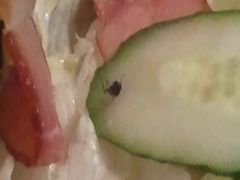 菜中有苍蝇-不老溪贵州菜(广安门总店)