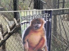 -武汉动物园