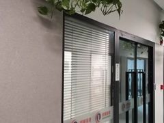 -引领英语·成人口语·雅思托福