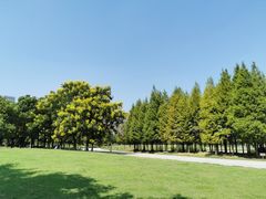 -尚贤河湿地