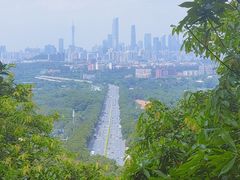 -火炉山森林公园