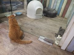 -小时光咖啡馆(开森度假森林店)