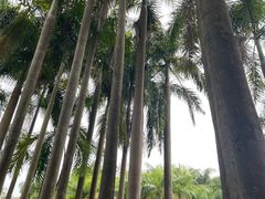-滴水岩森林公园