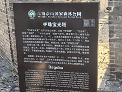 -上海佘山国家森林公园天马山园