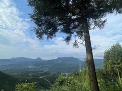 -重庆睡佛山森林公园