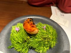 -觀芷隐轩