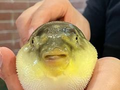 -永安鱼庄·镇江菜(丁卯店)