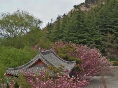 -石岛赤山风景区