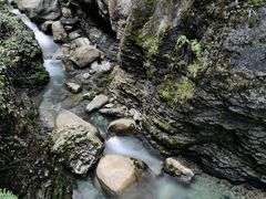-鹿院坪生态旅游景区