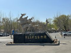 -秦皇岛野生动物园