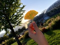 -北京植物园-展览温室